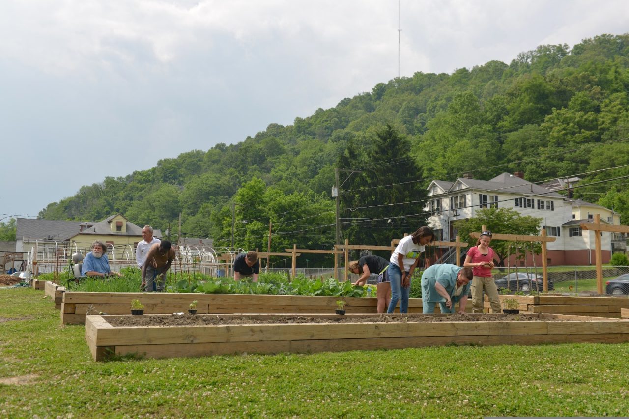 Local residents plant edibles at a community garden.